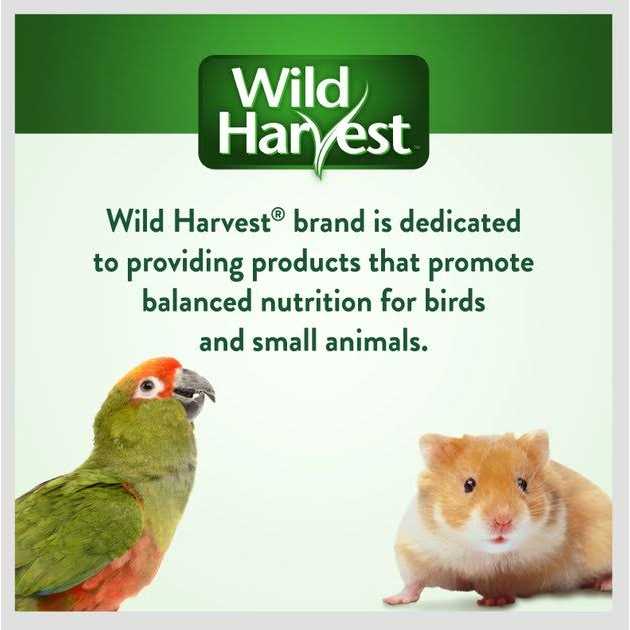 Daily Blend Parakeet F8487