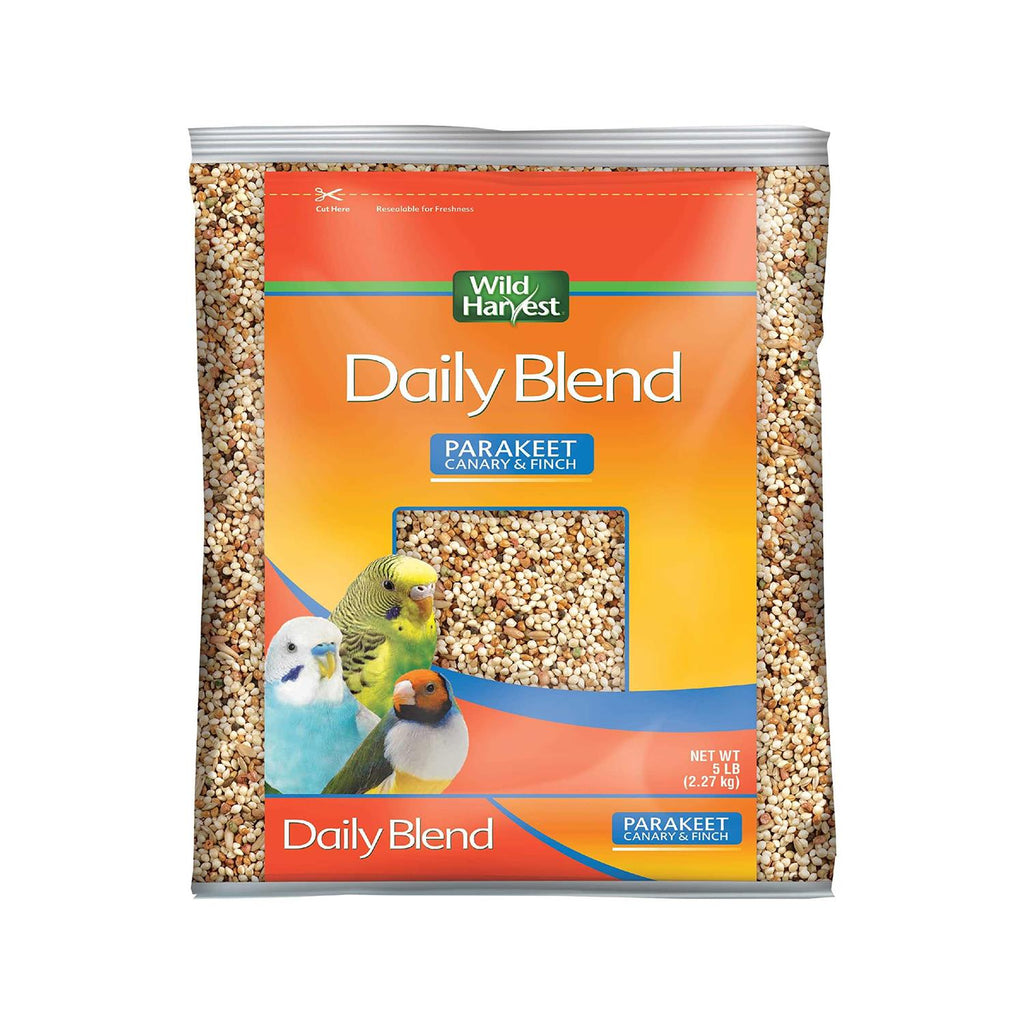 Daily Blend Parakeet F8487