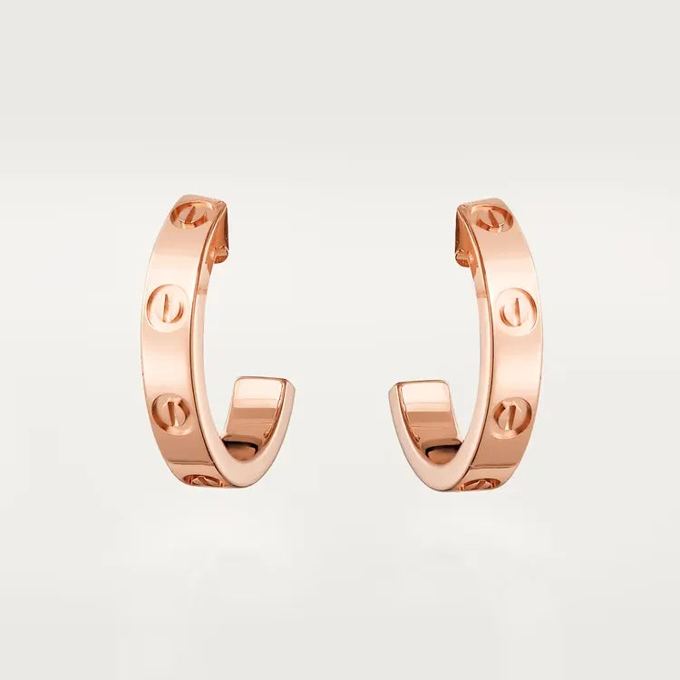 Earrings L41261