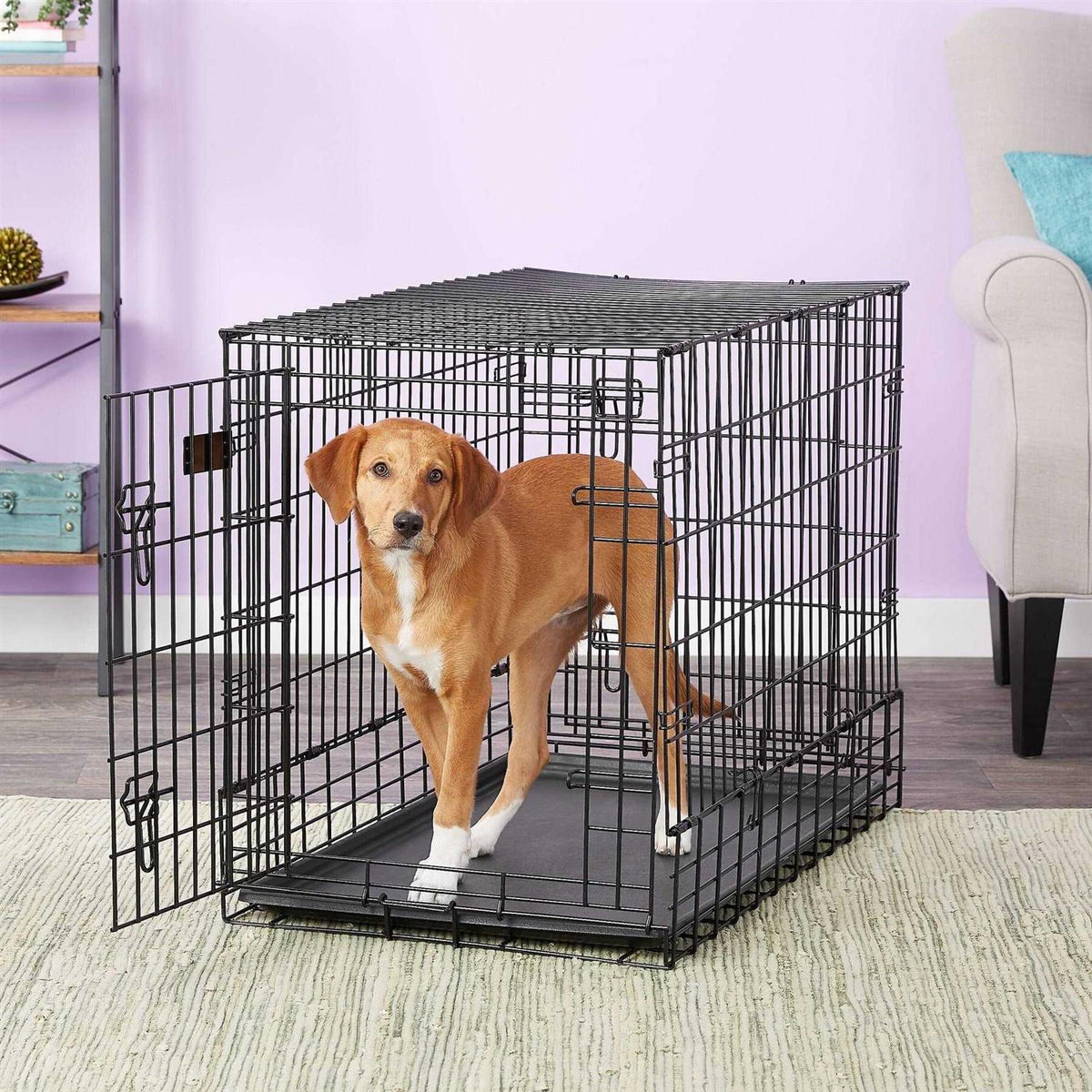 Double Door SUV Dog Crate Y9987