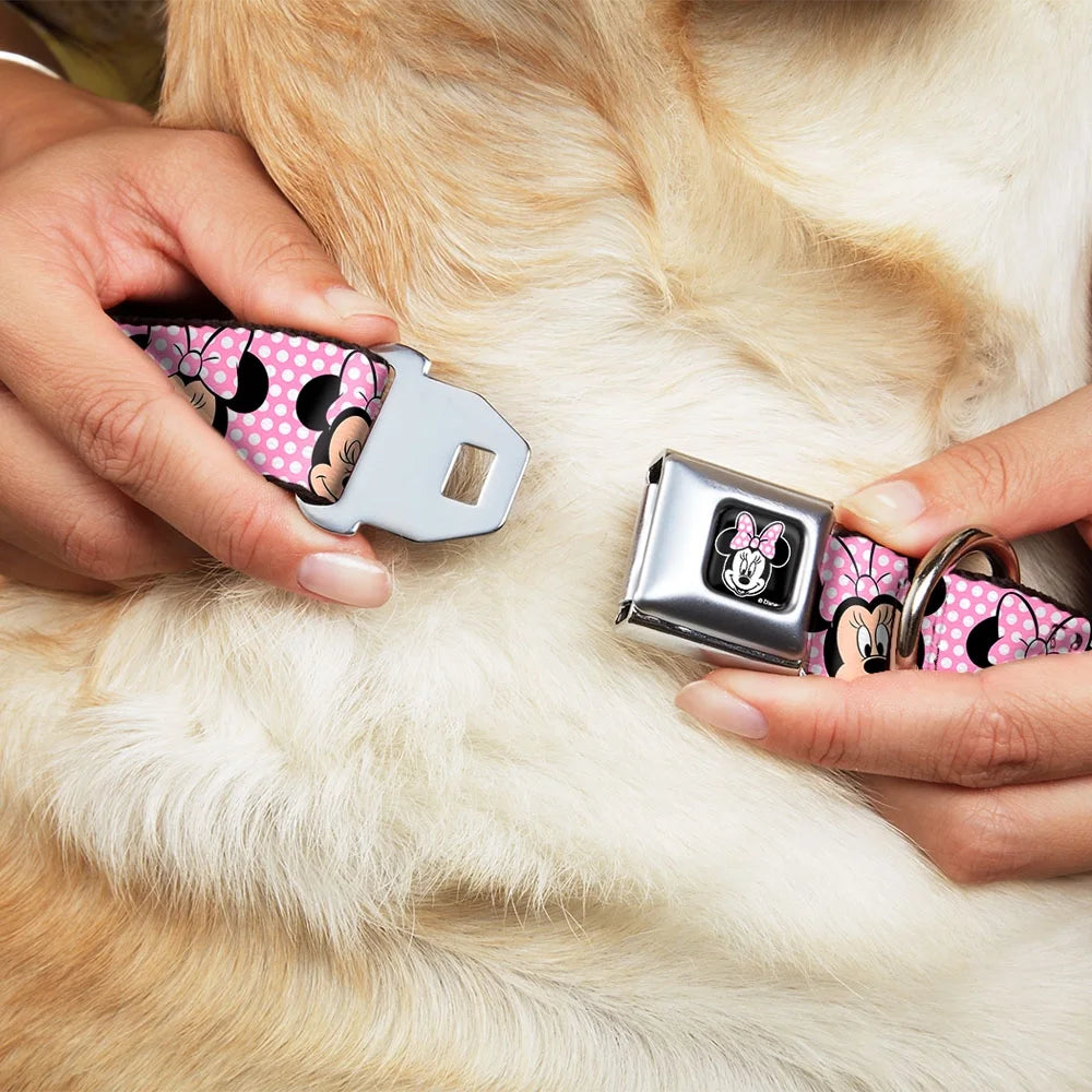 Pink White Polka Dot Dog Collar M1683