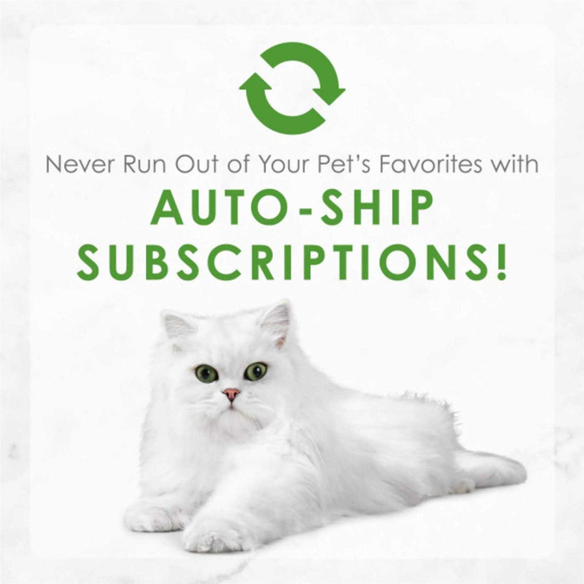 Shredded Cat Food A78026