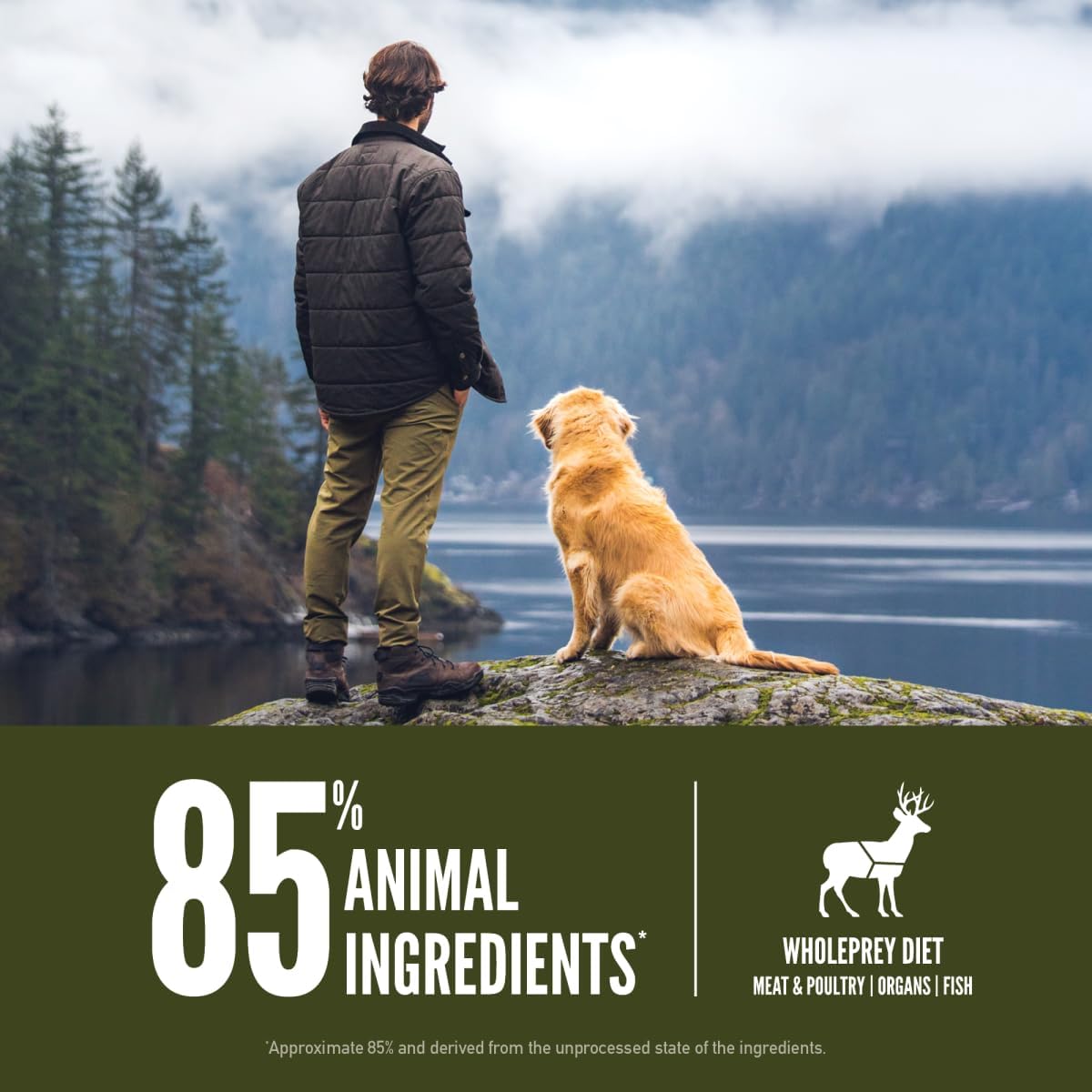 23.5lb Grain Free Dry Dog Food N348