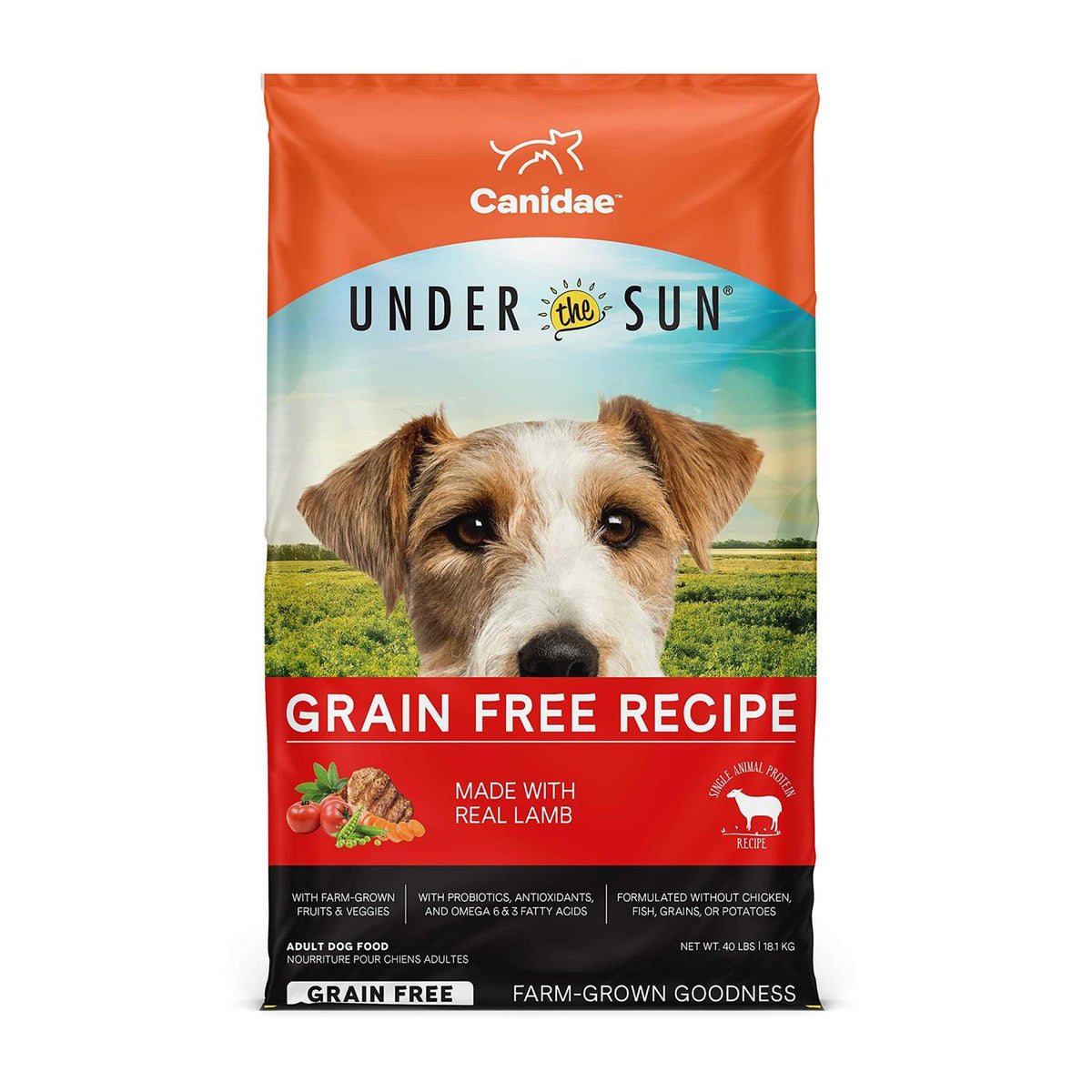 Grain Free Lamb Dry Dog Food B21904