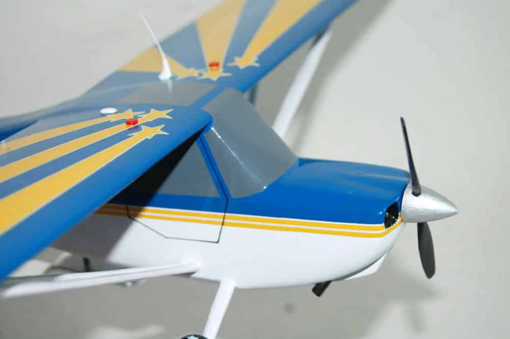 Blue and Yellow Model S13821
