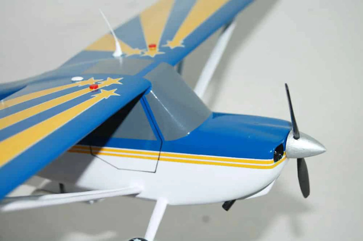 Blue and Yellow Model S13821