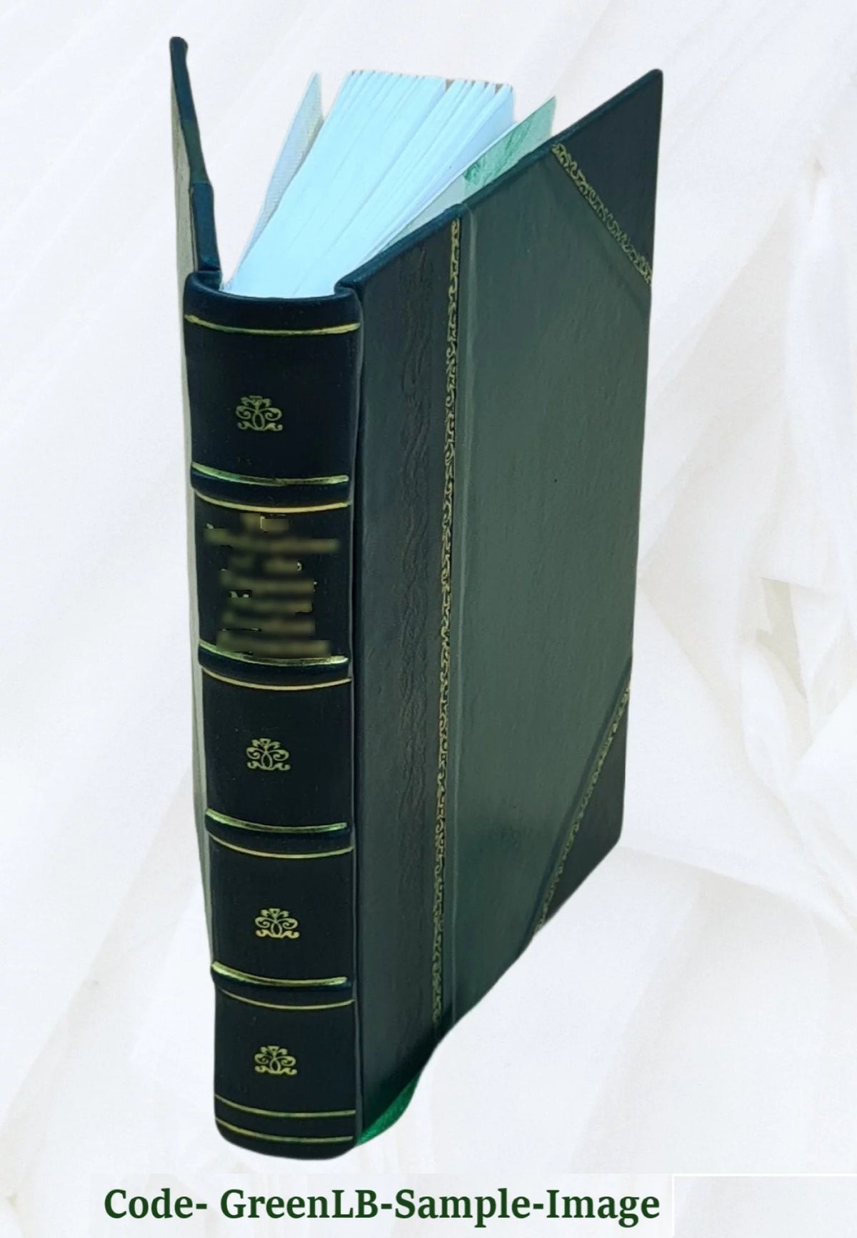 Topografia del romanzo I promessi sposi Volume 2 Leather Bound D97062