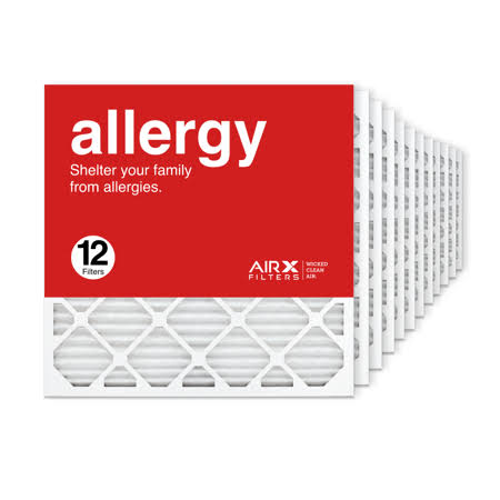 24x24x1 MERV 11 Pleated Air Filter Box of 12 L302